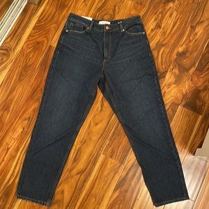 NWT Dynamite Claudia High Rise Mom Jeans (Size 29)